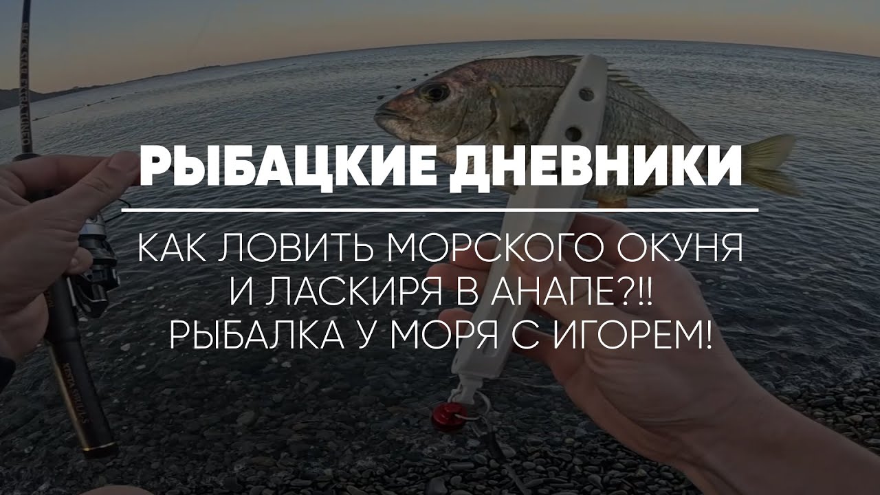 РЫБАЦКИЕ ДНЕВНИКИ // Как ловить морского окуня и ласкиря в Анапе?!! Рыбалка у моря с Игорем!
