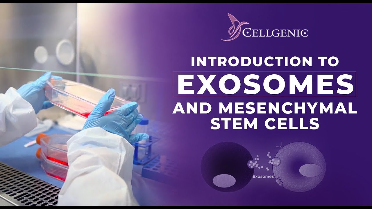 Introduction to Exosomes and Mesenchymal Stem Cells