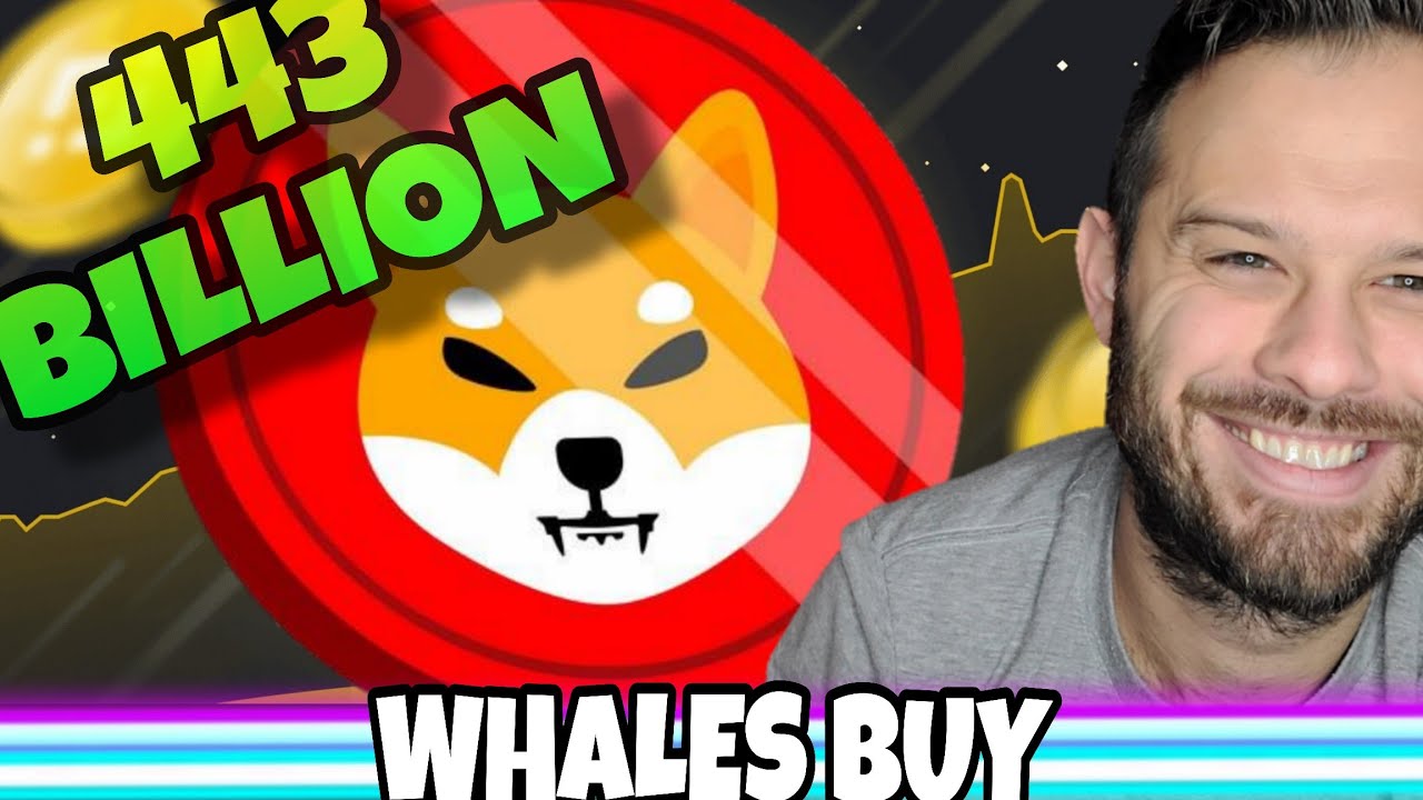 Shiba Inu Coin | Киты скупают 443 миллиарда SHIB