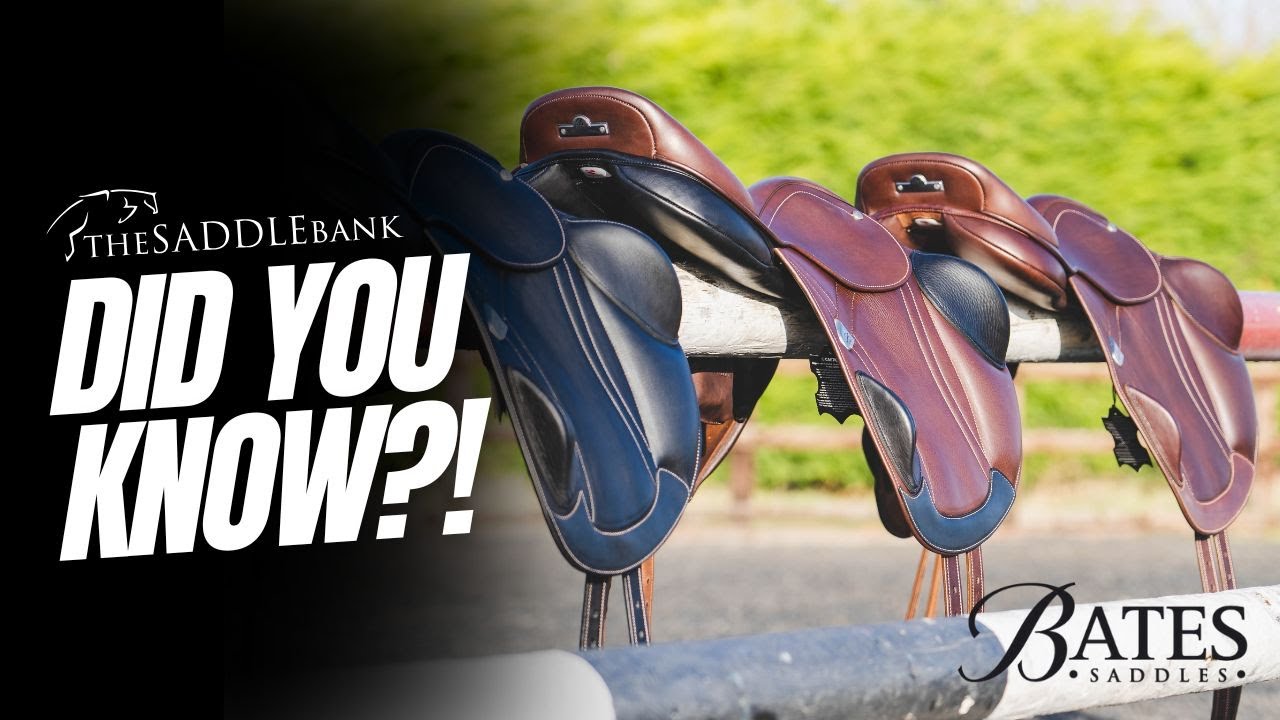 Did You Know? – Key Features in a Bates Saddle 🐴✨