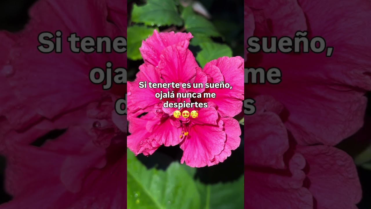 Любовное письмо 💌