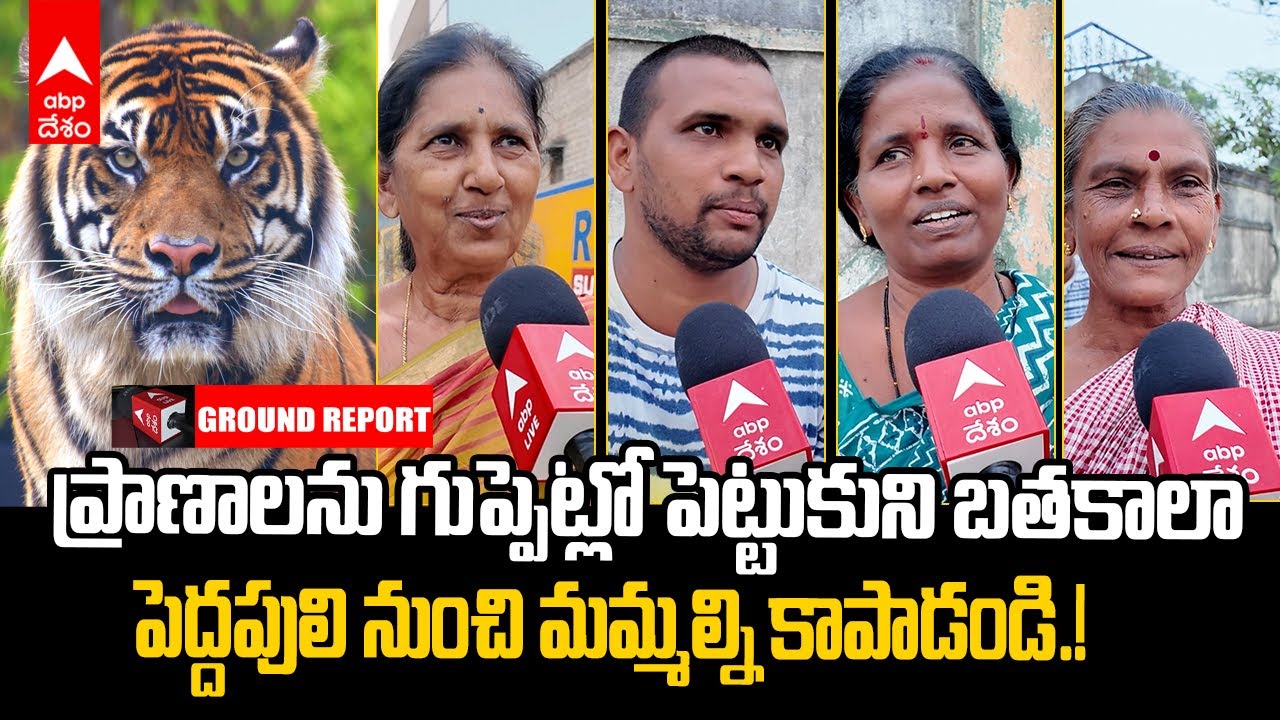 Torredu Locals Fear on Tiger | పెద్దపులి భయంతో బిక్కు బిక్కుమంటున్న తొర్రేడు గ్రామస్తులు | ABP Desam