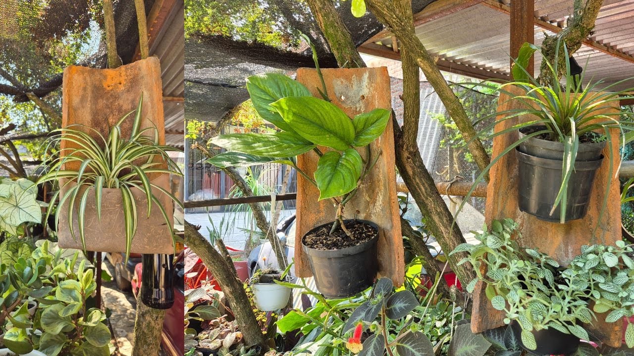 😍ALGO RÚSTICO EXÓTICO Y HERMOSO con RECICLAJE para tu jardín🤩mira como se hace/Liliana Muñoz
