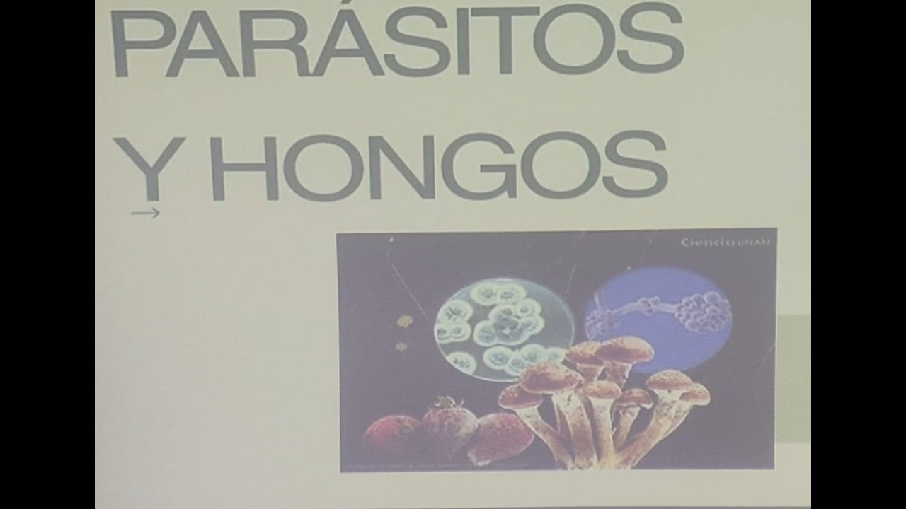 1  Generalidades Parasitos y Hongos