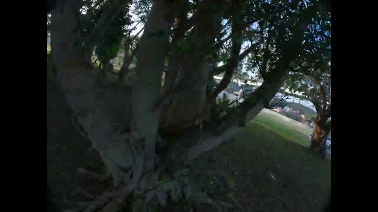 Trying To Flex Cinematic Movement but Actually Looking Like a Confused Spy Drone bouncing off wood l