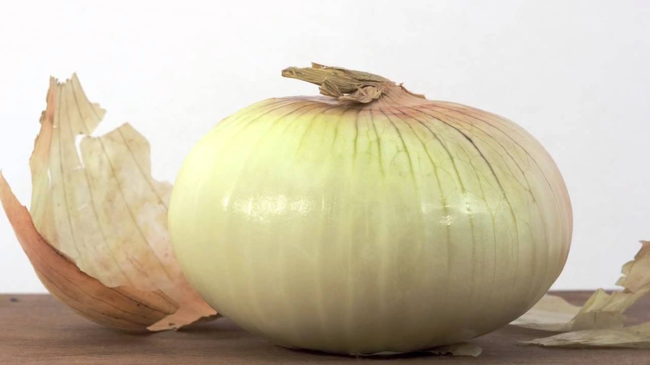 Georgia Vidalia Onions