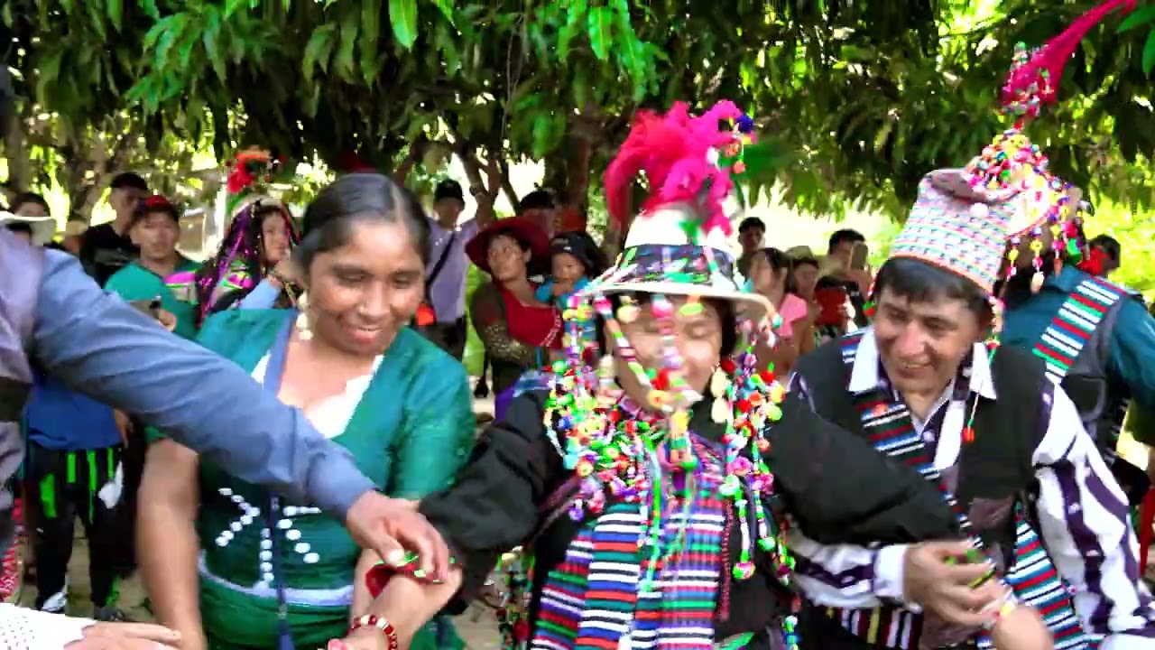 integrantes de poroma palajleitas 2025