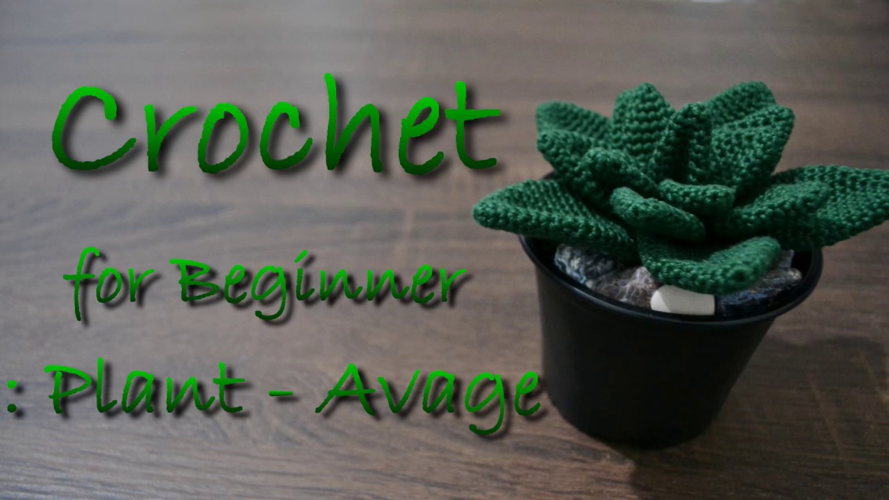 Crochet for Beginner : Plant 001 - Agave