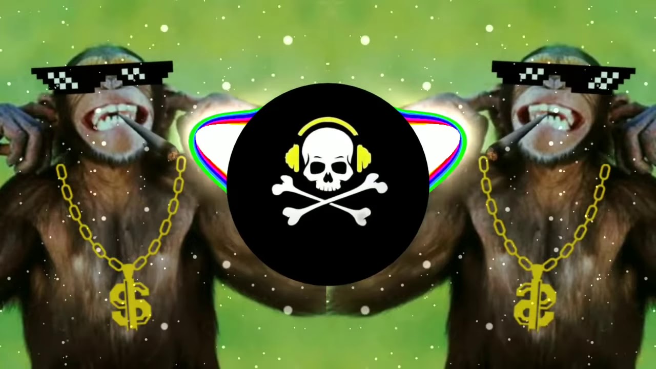SOPA DE MACACO REMIX FUNK...to viciado