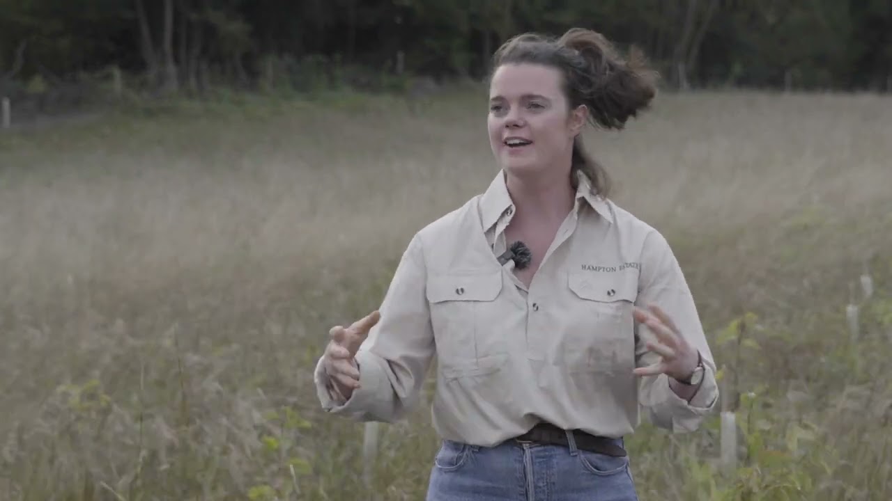 Forestry for Non-Foresters: Woodland Creation