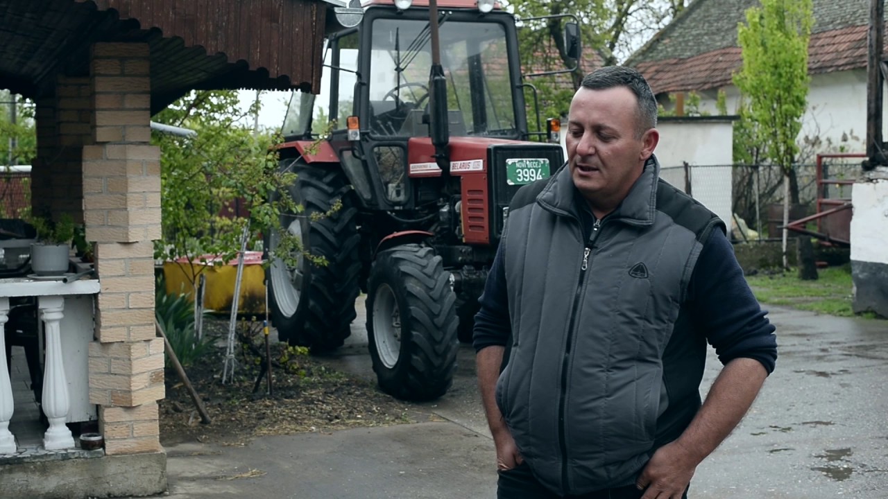 Farma krava i proizvodnja mleka u Novom Milosevu - U nasem ataru 686