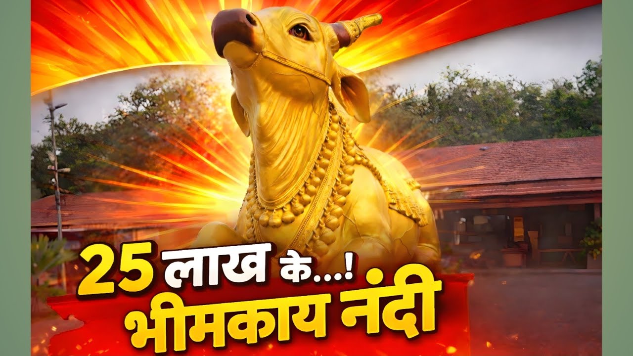25 लाख के भीमकाय नंदी 🐂 ll A gigantic Nandi worth 25 lakhs ll