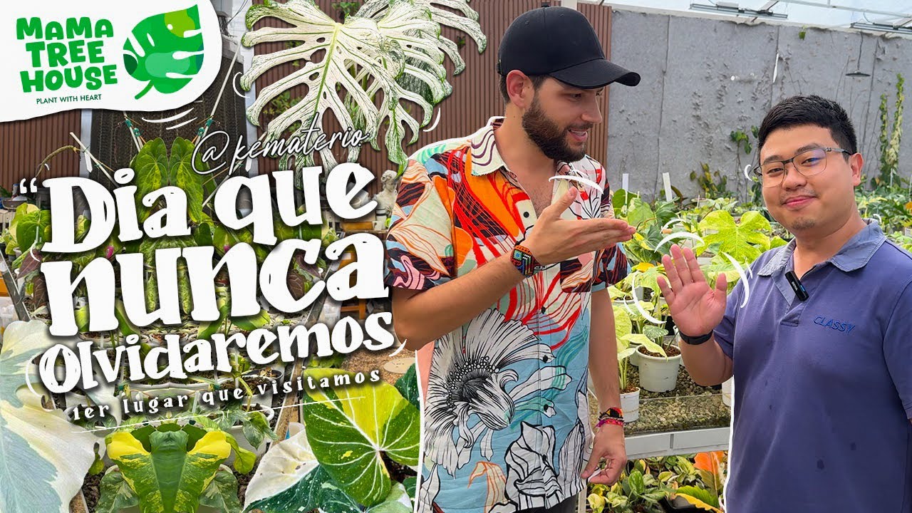 Este Vivero Cambió Nuestra Idea de Plantas Exoticas Mama tree House