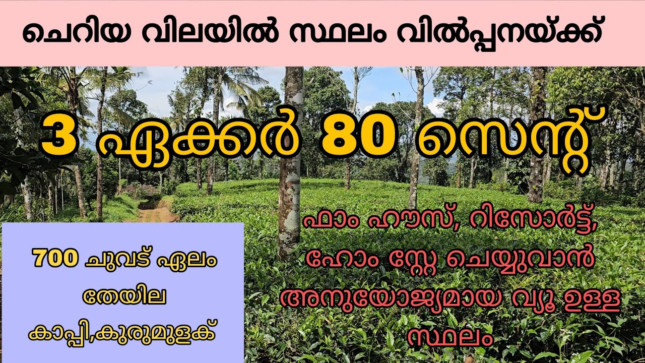 ചെറിയ വിലയിൽ 3 ഏക്കർ 80 സെൻ്റ് സ്ഥലം വിൽപ്പനയ്ക്ക്