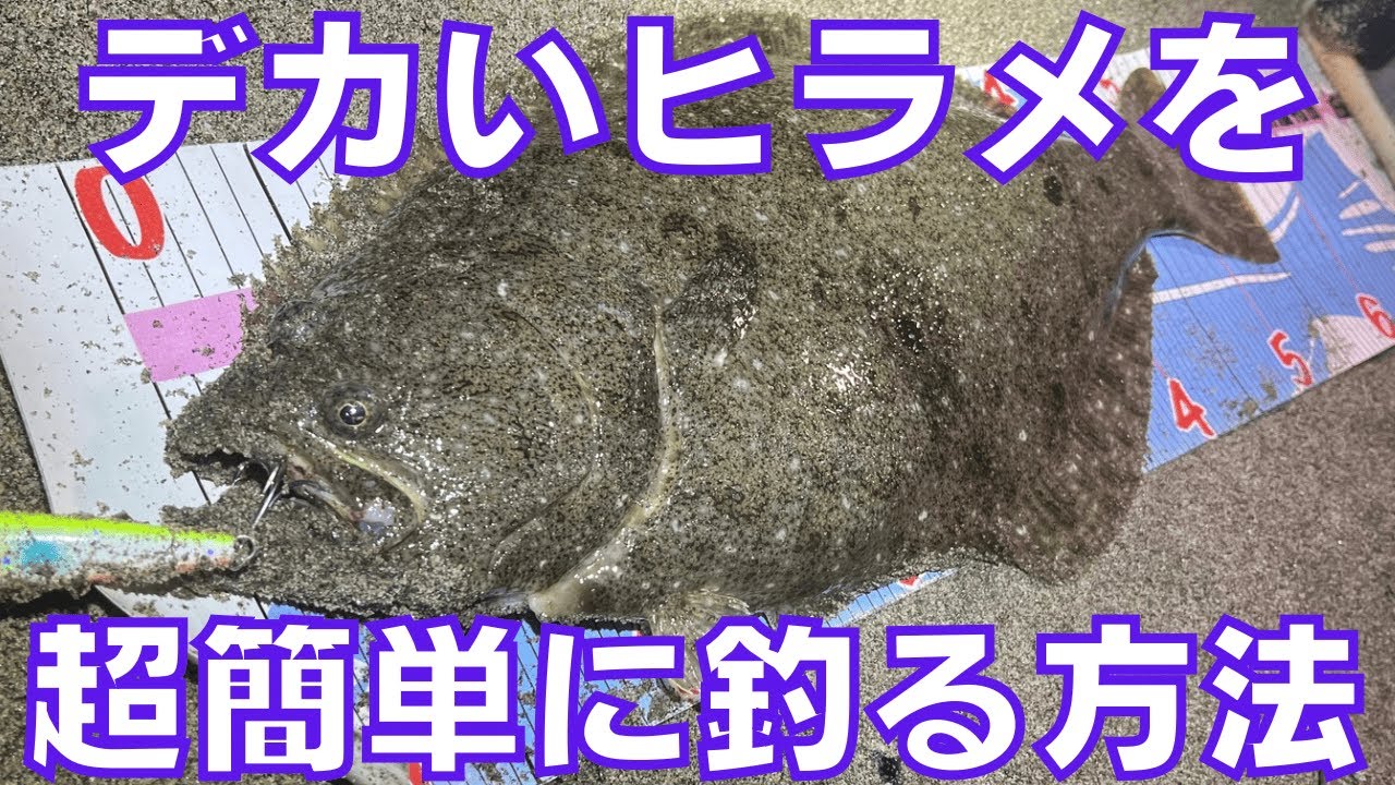 【サーフ】最短で誰でも超簡単にデカいヒラメを釣る方法‼︎