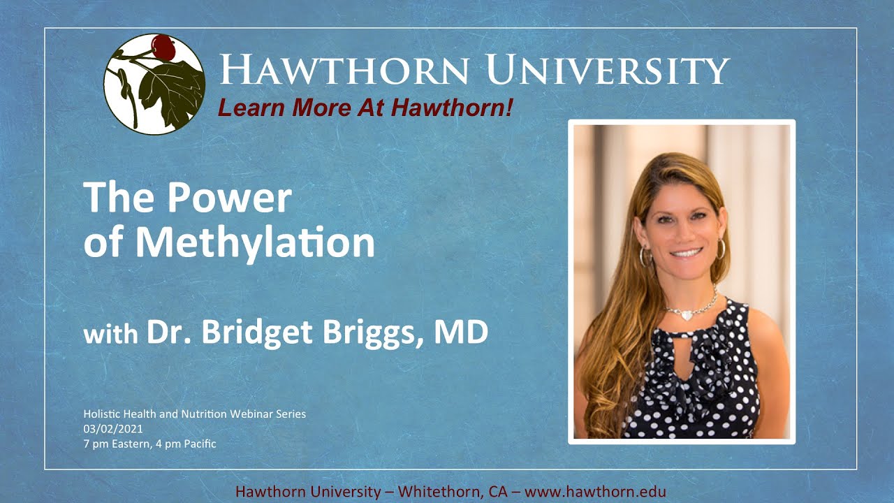 The Power of Methylation with Dr. Bridget Briggs, MD