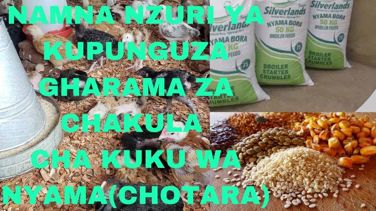 KUKU FARM. ILI UPATE FAIDA TENGENEZA CHAKULA MWENYEWE KWA KUKU WA NYAMA(CHOTARA).@COLENDFARM