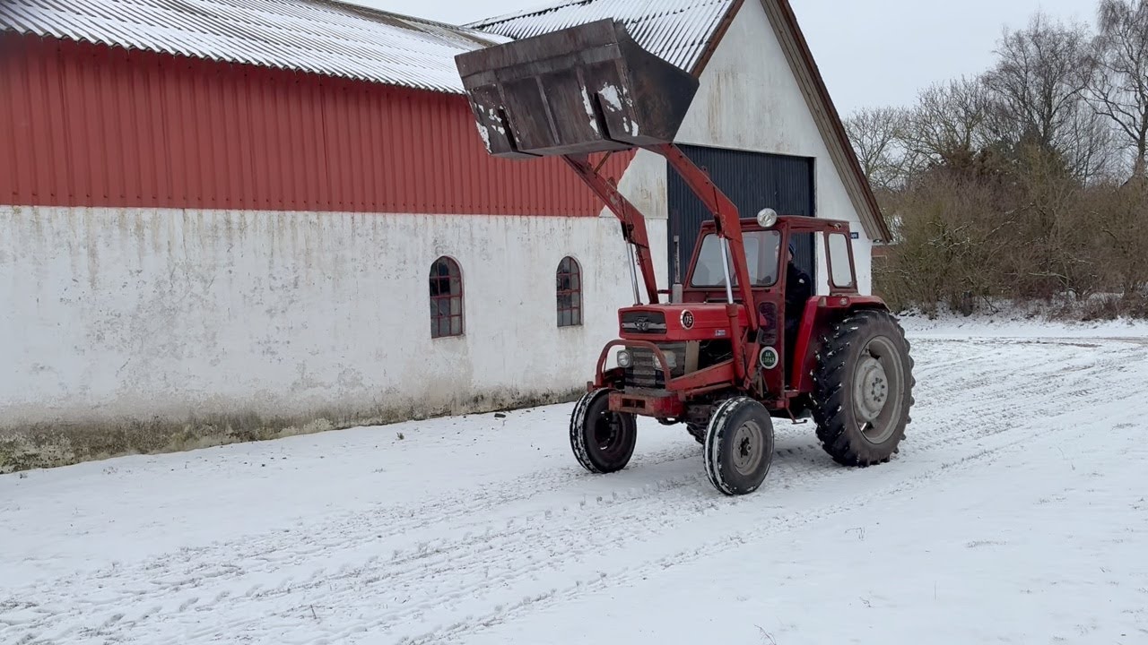 Køb Veterantraktor Massey Ferguson 175S på Klaravik