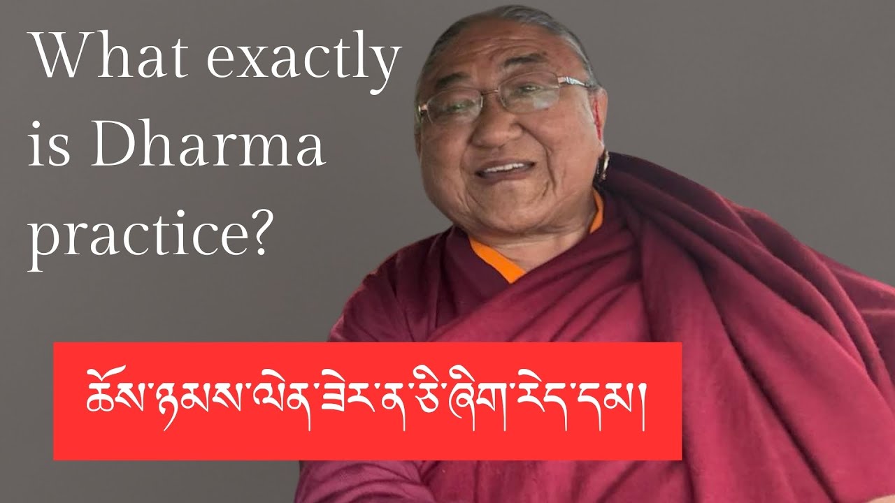 A Moment of Contemplation| What exactly is Dharma practice?  ཆོས་ཉམས་ལེན་ཟེར་ན་ཅི་ཞིག་རེད་དམ།
