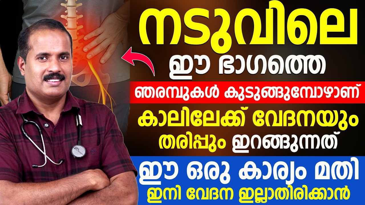 കാലിലേക്ക് വേദനയും തരിപ്പും? 🤕 നടുവിലെ ഞരമ്പ് കുടുങ്ങലാണ് കാരണം | ഈ ഒരു കാര്യം മതി Dr SHAMEER