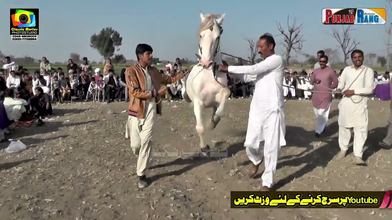 Dua e Ali Asgharll All Punjab Horse Dance ll Kot Rasool Purian Ali Pur Chittah Gujranwala 2022