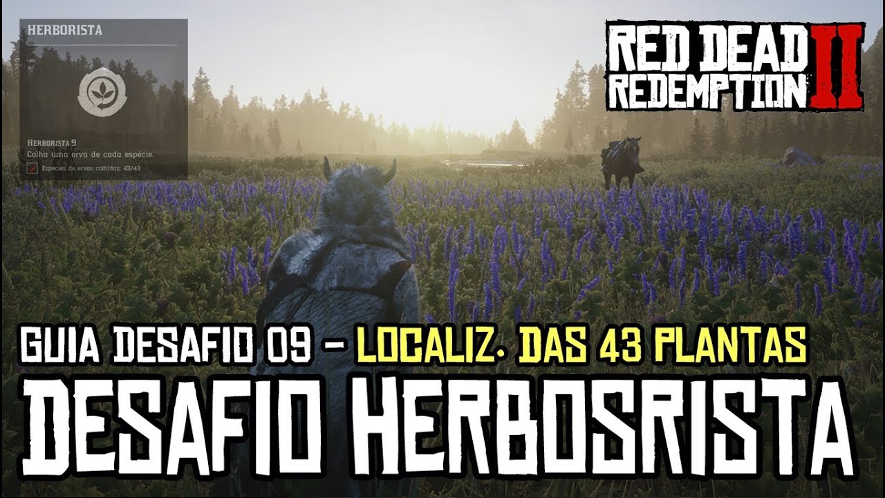 RED DEAD REDEMPTION 2 - DESAFIOS HERBORISTA 9 (LOCALIZAÇÃO DAS 43 PLANTAS)