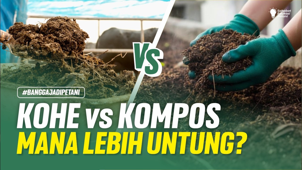 PUPUK KOHE VS KOMPOS! MANA YANG LEBIH UNTUNG DAN EFEKTIF UNTUK TANAMAN