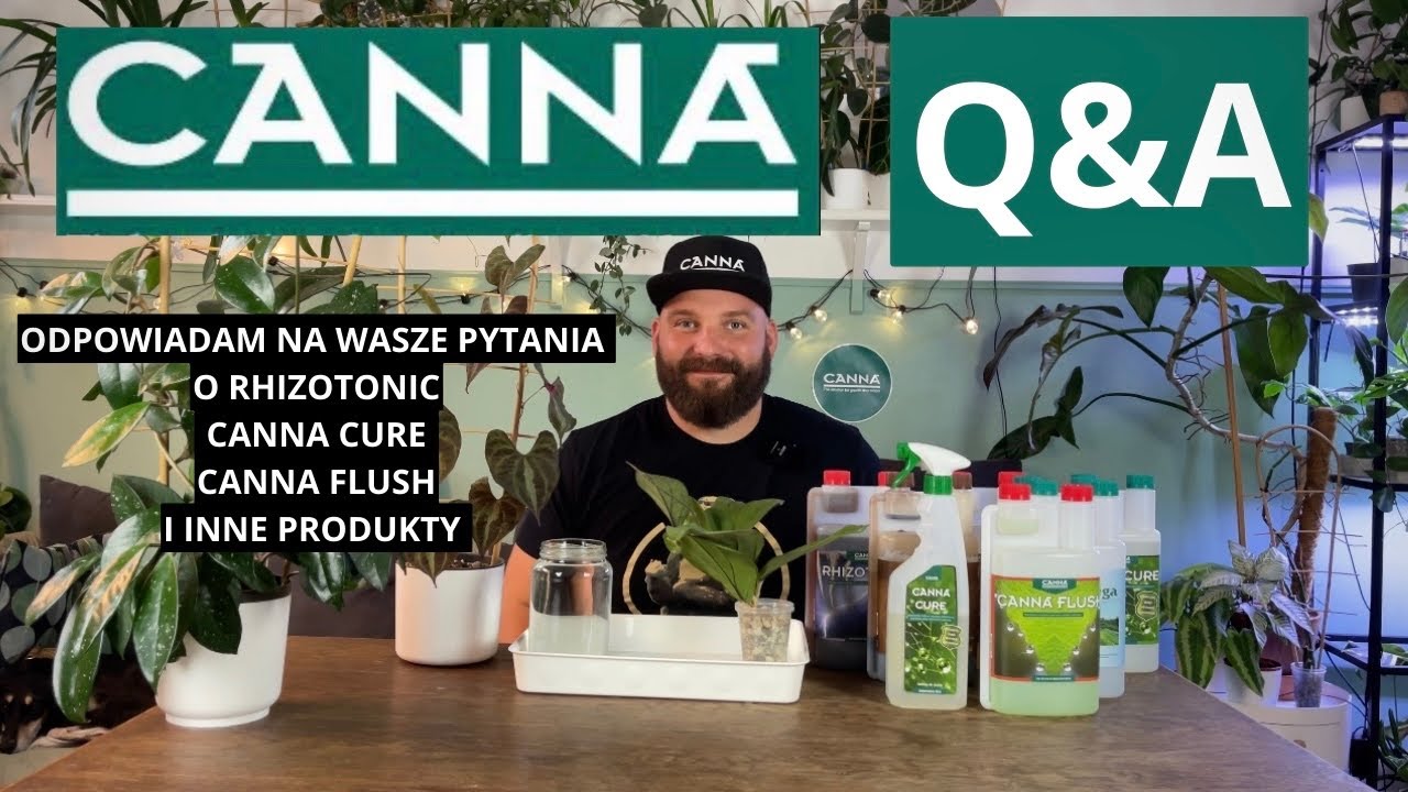 CANNA Q&A, czyli odpowiadam  na Wasze pytania dotyczące m.in. CANNA CURE, CANNA FLUSH I RHIZOTONIC