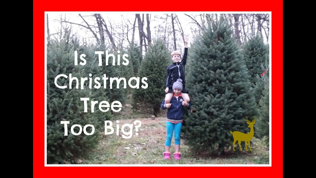 Is This Christmas Tree Too Big? | Flippin' Katie