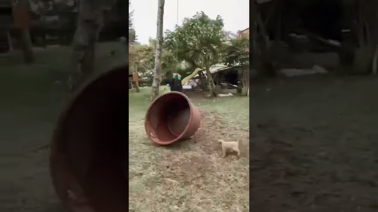 CHICONCUAUTLA