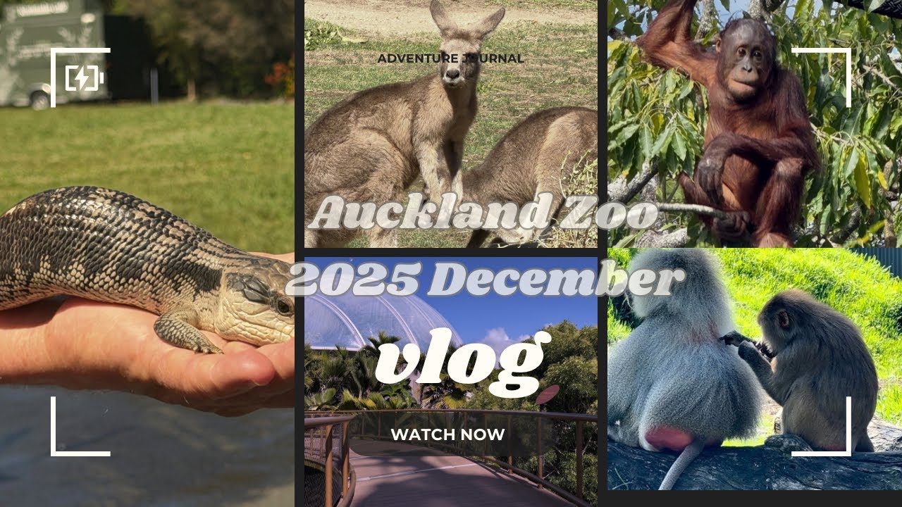 Auckland Zoo Dec 30,2025 | #family #trip #vlog 