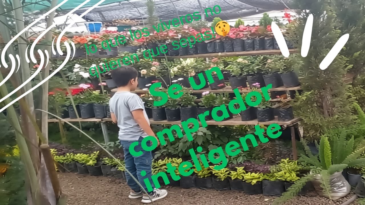 No cometas mis errores, cuando compres plantas