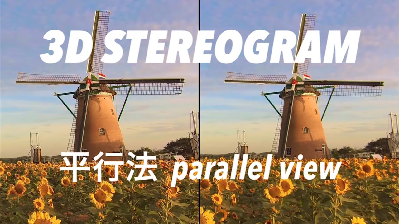 STEREOGRAM (Parallel View 3D) | 平行法☆ステレオグラム | P20 STEREOSCOPIC