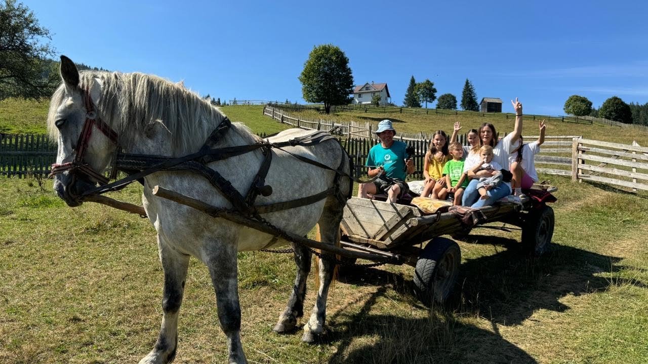 Viața Simplă de la Țară: O Aventură cu Căruța în Bucovina