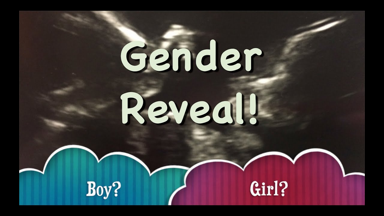 Preggie Fe - Gender Reveal!