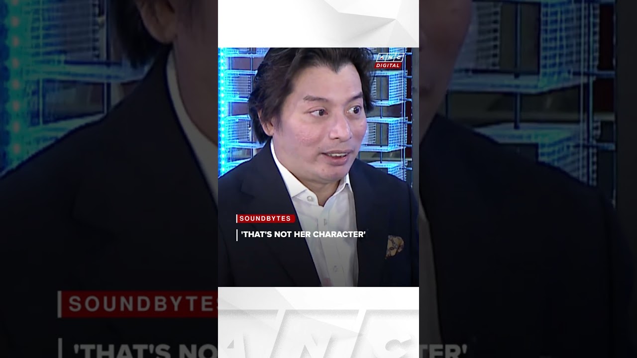 &laquo;Это не в её характере&raquo;: адвокат Поа заявляет, что вице-президент Сара &laquo;никогда не проявляла агре...
