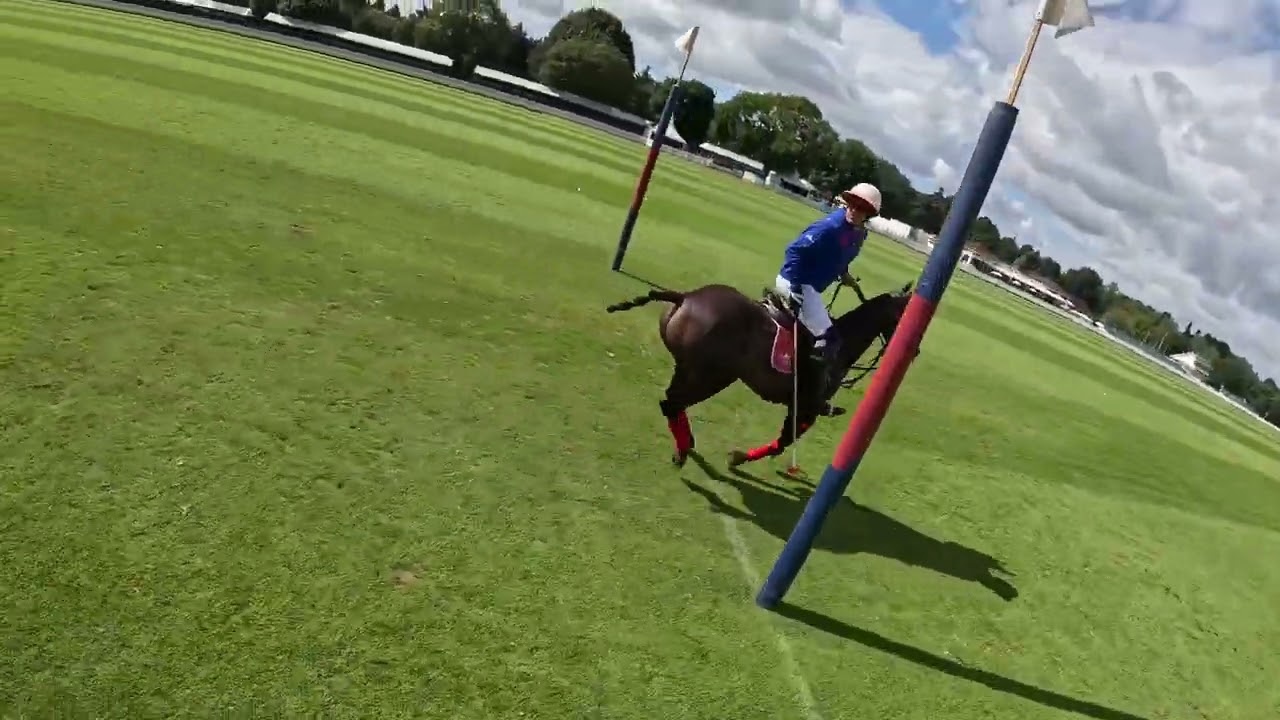 Team practice - 22 high goals- Guards Polo Club