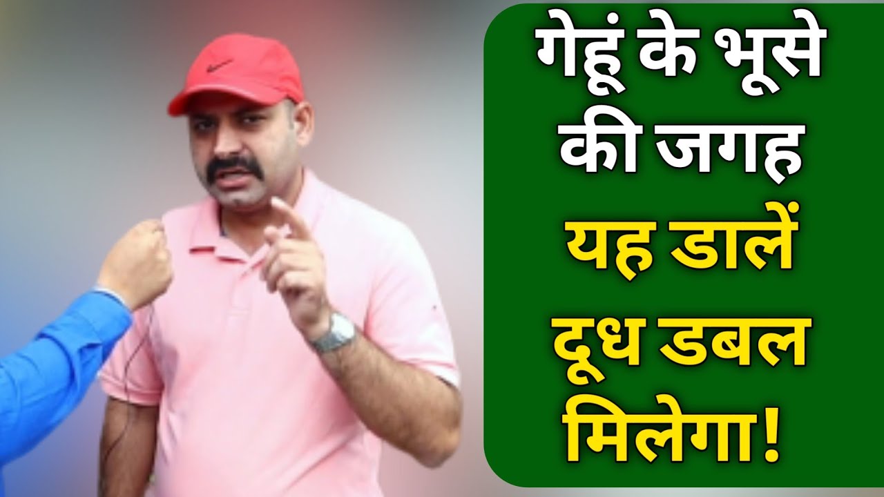 पशुओं को ऐसा क्या खिलाएं जिससे दूध ज्यादा मिले| Feeding Management in Dairy Farming in india