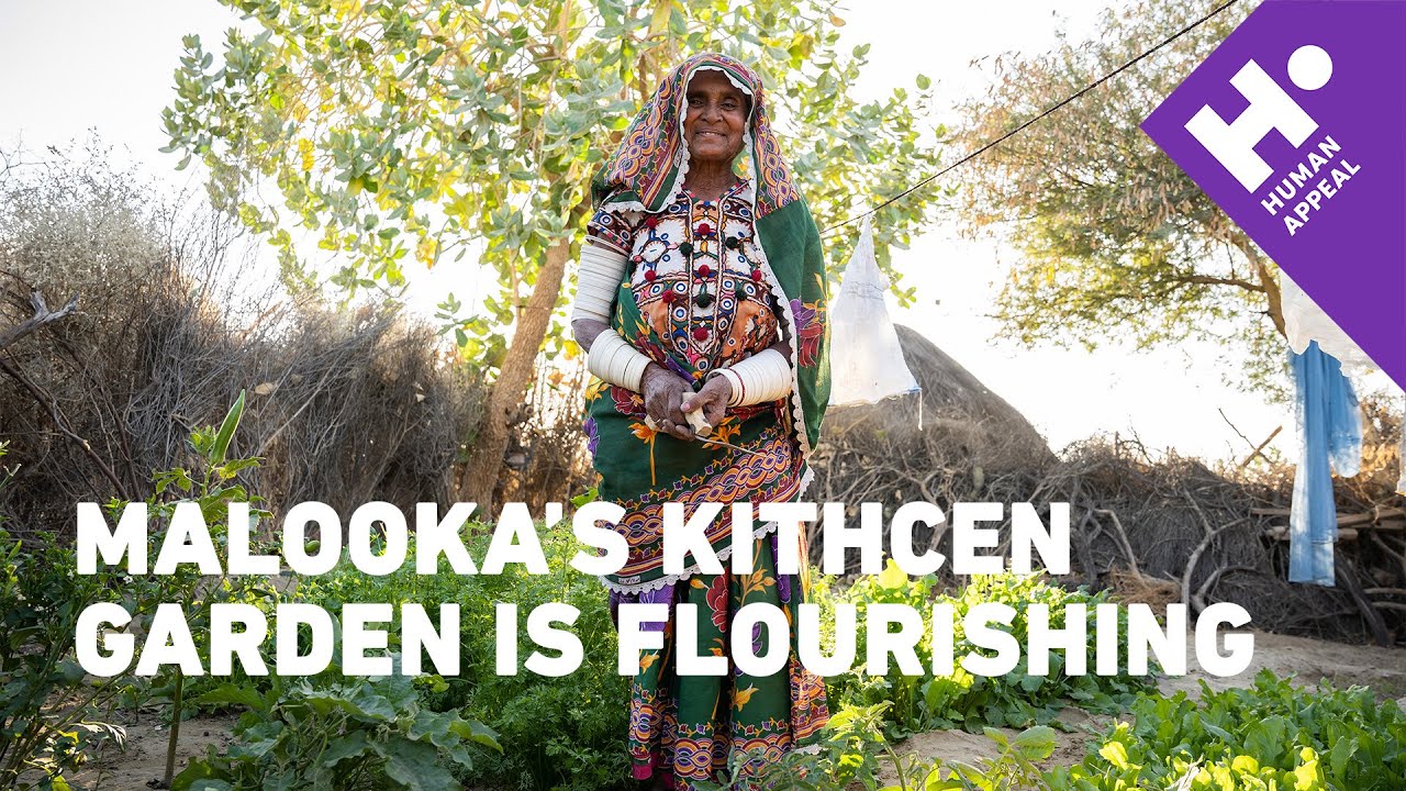 Malooka's kitchen garden is flourising