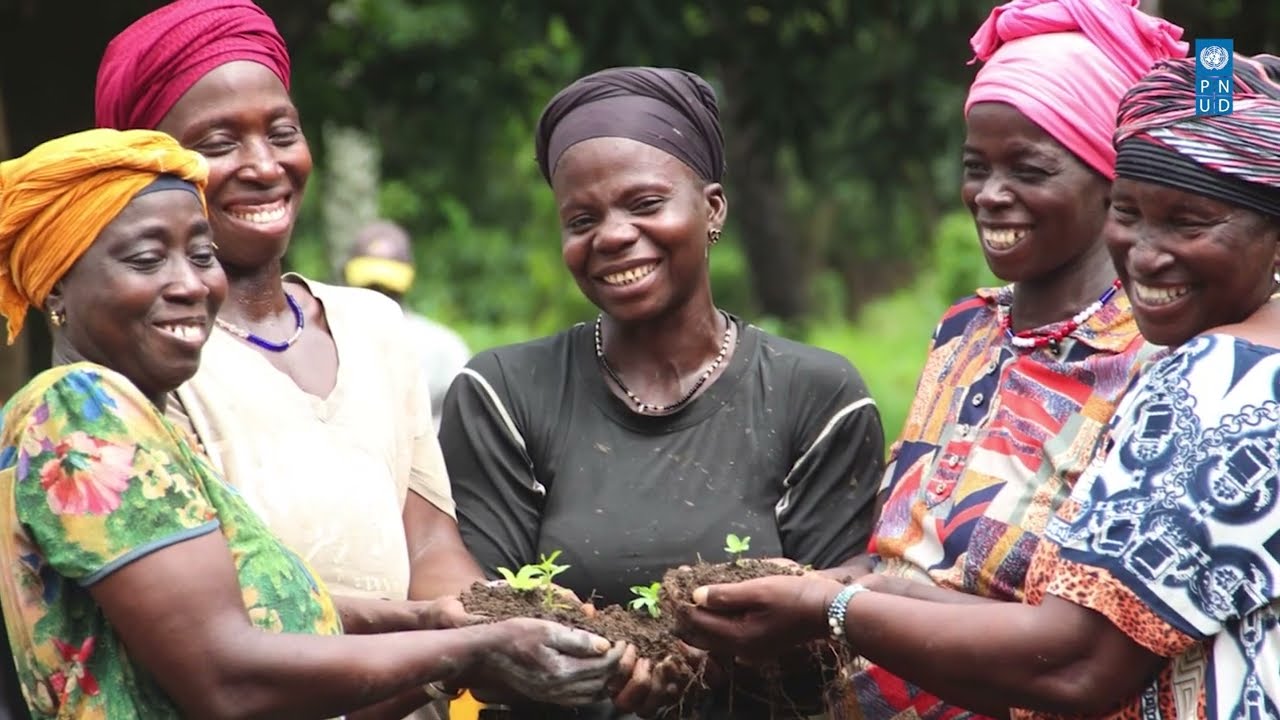 Programme Pays du PNUD Benin 2024 2026 : Bilan de la premiere annee de mise en œuvre