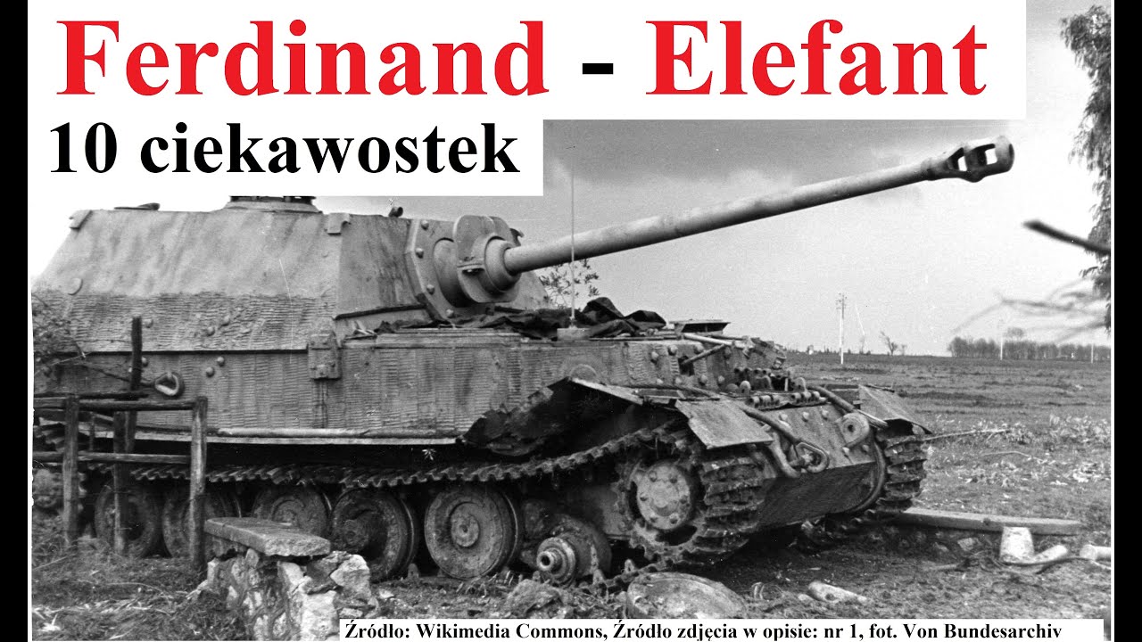 Ferdinand / Elephant - 10 ciekawostek