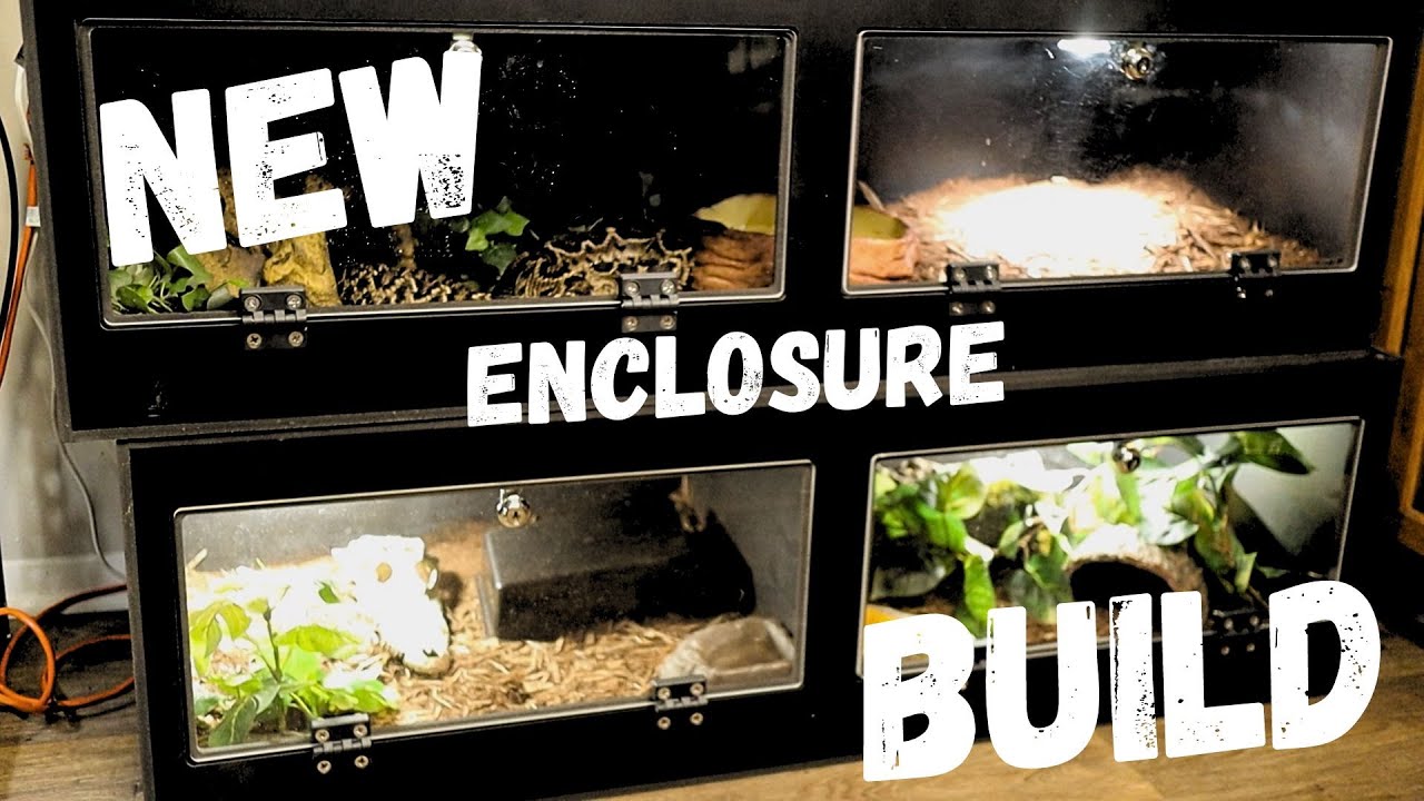 BRAND NEW! PVC Reptile Enclosure For My Animals!!!