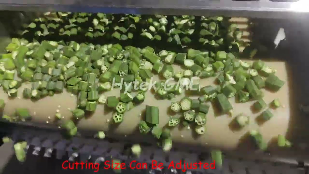 High Capacity Okra Cutting Machine | Lady finger | Beans Cutting | Leafy Vegetables Cutting Machine
