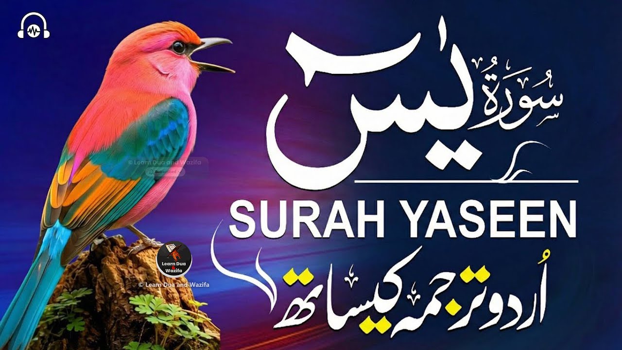Surah Yaseen 🕋 Surah Ar Rahman Best Qur'an Recitation | Surah Yasin full | Arabic text HD (690)