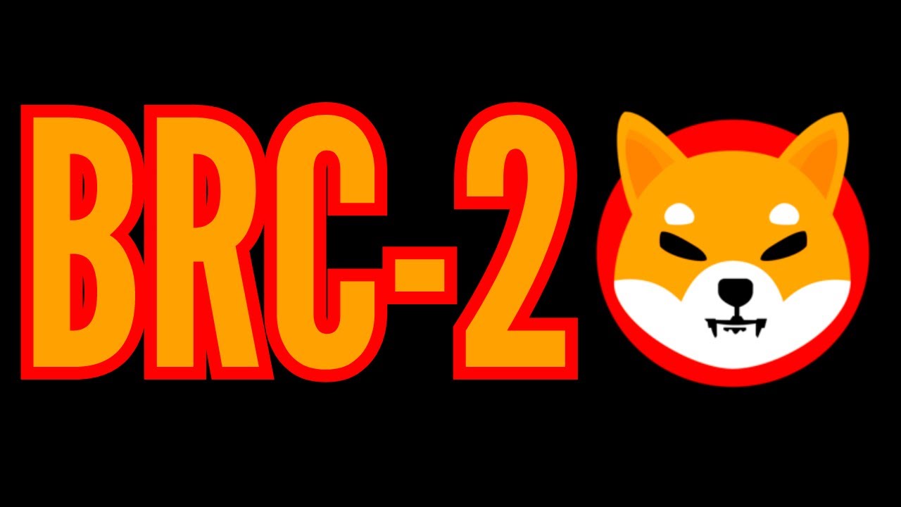 BRC-20 TOKEN: HOW I PICKED & 10X FROM 3  DIFFERENT TOKENS