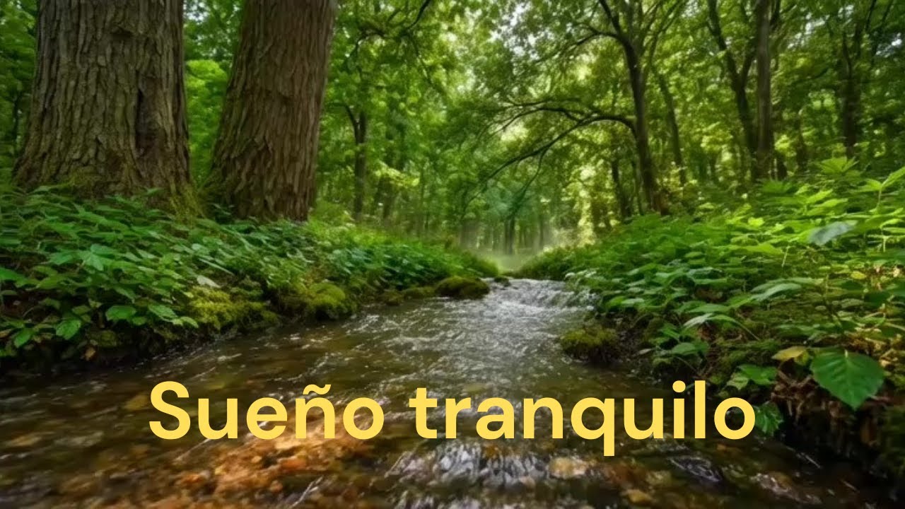 Música para Dormir Más Rápido 🌿 Arroyo en el Bosque | DUERME TRANQUI