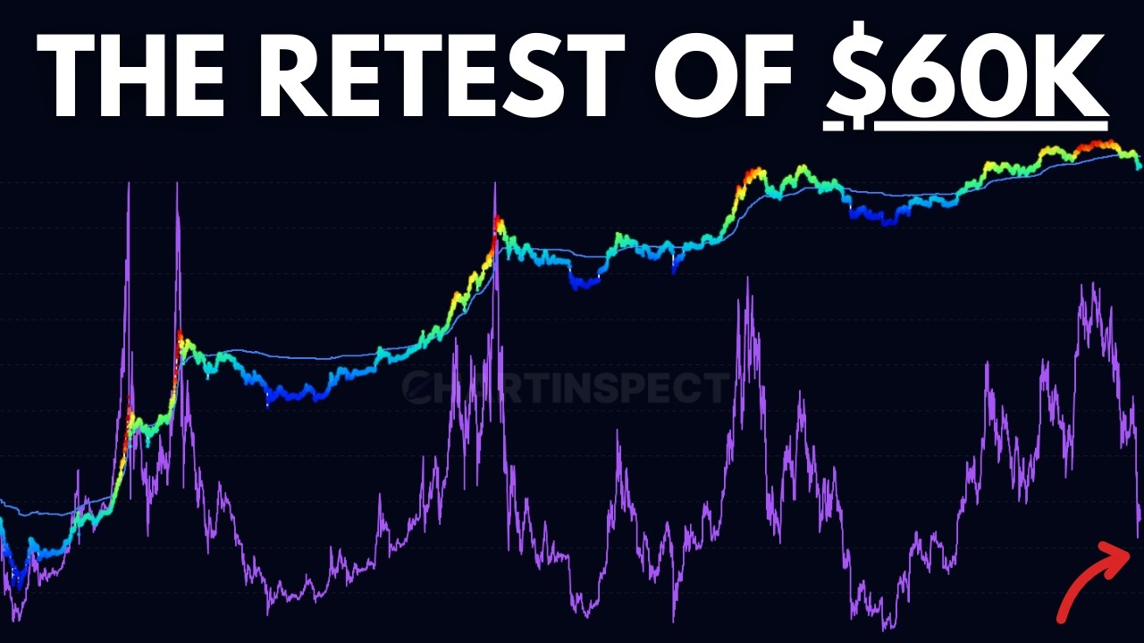 Bitcoin Bear Market Update - New On-Chain Metric Explained