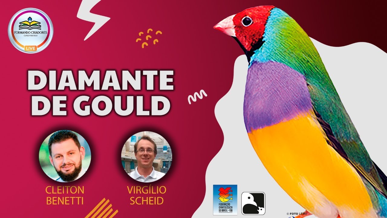 Diamante de Gould