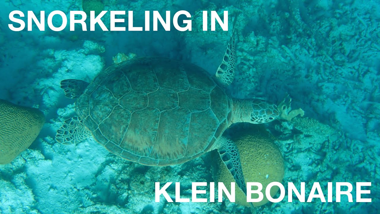 Klein Bonaire Snorkeling | Bonaire