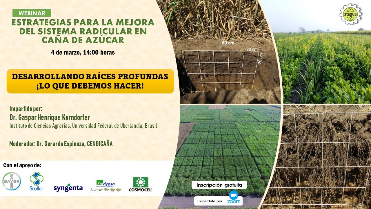 Webinar 